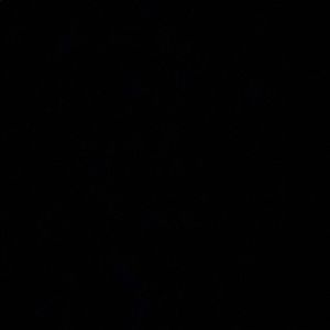 Meet your Posher, Alice